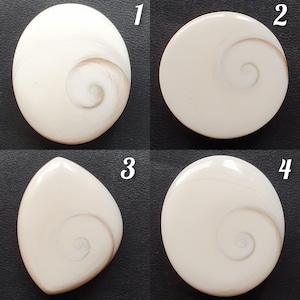 Natural Shiva eye fossil shell cabochon smooth mix shape shiva eye gemstones