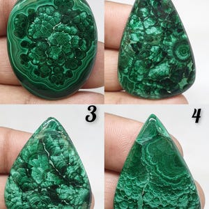 May include: Four polished malachite gemstones with unique patterns. The stones are numbered 1 through 4. The first is oval, the second is teardrop-shaped, the third is also teardrop-shaped, and the fourth is triangular.