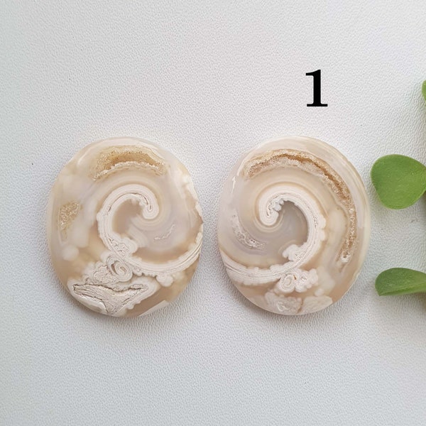 Gastropod fossil shell pair , Snail fossil druzy cabochons pair natural snail fossil pair for earring, stones for earrings ,