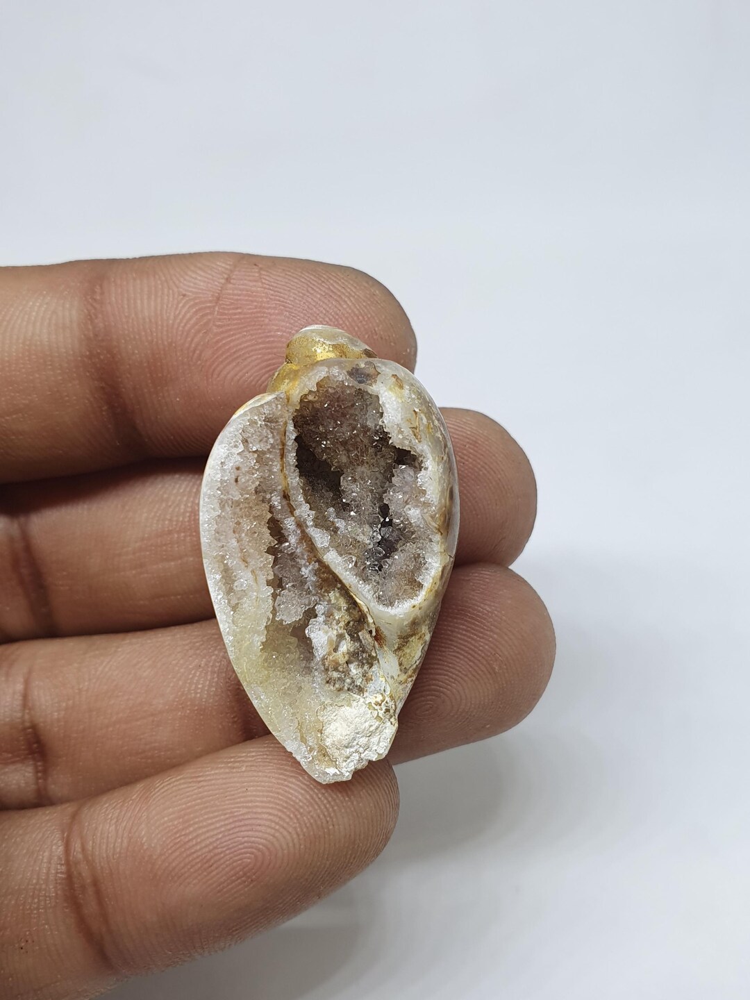 Gastropod Crystallized Fossil Shell Beautiful Gastropod Crystallized ...