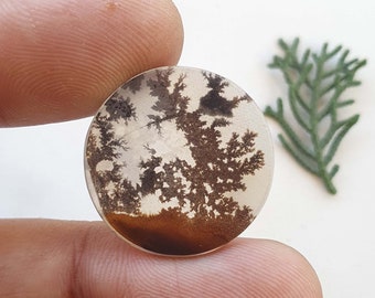 Natural dendritic agate slice smooth round shape dendrite agate gemstone for jewelry