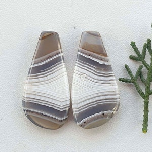 Natural Montana agate pair , Montana agate cabochon pair , Beautiful Montana agate gemstone pair for earring and jewelry design