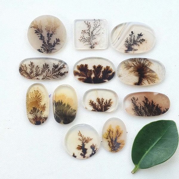 Scenic agate slices natural dendritic agate slices wholesale denerite agate slice