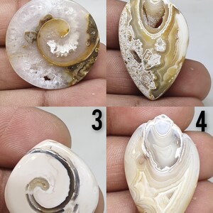 May include: Four polished gemstone cabochons in various shapes. The first is round with a spiral design, the second is a long oval, the third is a rounded triangle, and the fourth is a teardrop shape. The gemstones feature white, brown, and tan colors.