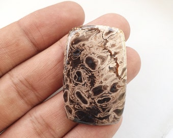 Natural Palm wood root agate cabochon smooth rectangle shape palm wood root agate gemstone 40x25 mm 49 carat