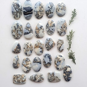 Puede incluir: Una colección de veintiuna piedras preciosas pulidas de varias formas, incluyendo óvalos, gotas y rectángulos. Las piedras presentan un color base azul claro con intrincados patrones de negro, marrón y crema. Una ramita de follaje verde se coloca a la derecha.