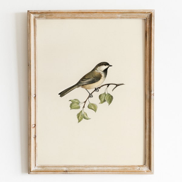 Vintage Bird Art Print, Printable Farmhouse Bird Illustration Wall Art, Nursery Chickadee Drawing Wall Decor, Antique Country Tit Bird Print