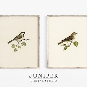 Arte de pared de pájaros vintage, juego de cocina de granja imprimible de 2 impresiones de arte, decoración de pared de dibujo de aves de vivero, arte de pared rústico de la habitación de los niños