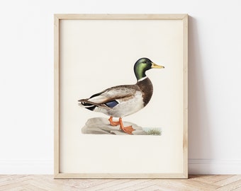 Vintage Ente Wandkunst, druckbare Stockente antikes Wanddekor, Bauernhaus Küche Kunstdruck, rustikale Kinderzimmer Wandkunst, Kinderzimmer Vogel Wanddekor