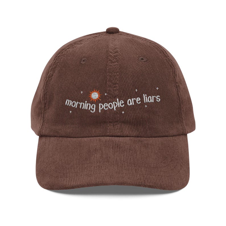 Embroidered Corduroy Hat Morning People are Liars, Friendly Sarcasm-Friends, Weird Core Funny Unhinged Hat image 6