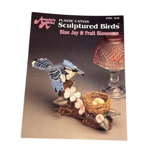 Può includere: Modello di artigianato in tela di plastica per un ghiandaia azzurra e fiori di frutta. Il modello è intitolato "Sculptured Birds" ed è di Annie's Attic. Il modello mostra un ghiandaia azzurra appollaiata su un ramo con un nido di uova sotto.