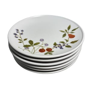 Noritake Dessert Teller 6er Set Dessertteller China Beeren N Such