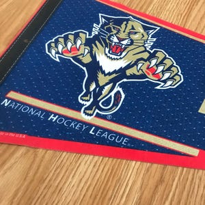Florida Panthers Vintage NHL Pennant By WinCraft