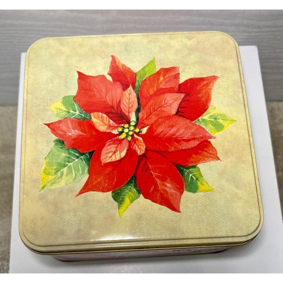 hundefreundliche zimmerpflanzen Tierfreundliche Pflanzen Mix&Match  Foliage Dreams