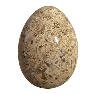 Polished Fossilized Stone Egg With Intricate Natural Patterns Beige Brown 4&quot; Very Heavy