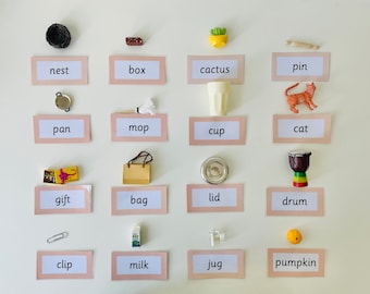 Object Box 1 Montessori Language Materials, Alphabet Sounds, Phonetic Reading Activity CVC Words w/ 10 True-to-life Miniatures Objects & Box