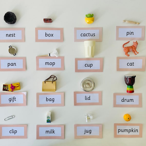 Boîte d'objets 1 matériel de langage Montessori, sons de l'alphabet, activité de lecture phonétique mots CVC avec 10 objets et boîte de miniatures réalistes