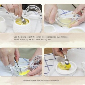 Lemon Juice Preparation Squeezing Montessori Practical Life Activity Hand-eye Coordination Fine Motor Skill Ready-to-use Set image 5