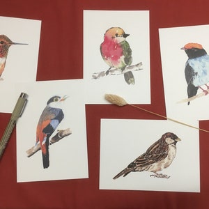 Lot de 5 cartes postales d'oiseaux à l'aquarelle Lot 1 image 1