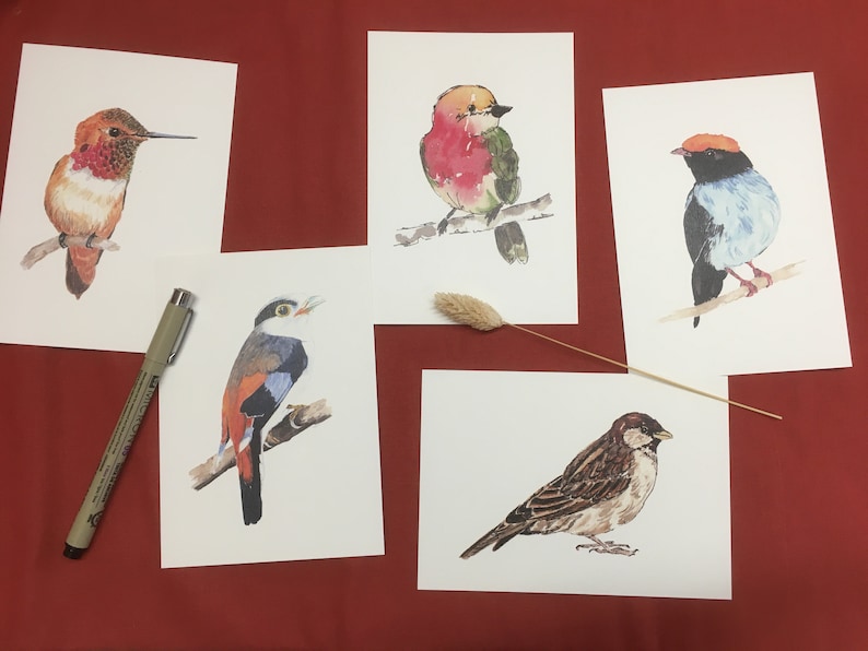 Lot de 5 cartes postales d'oiseaux à l'aquarelle Lot 1 image 1