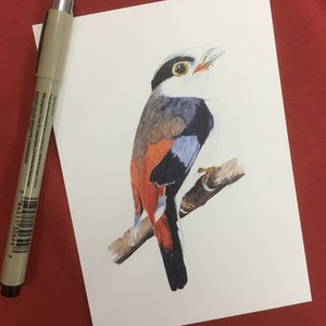 Lot de 5 cartes postales d'oiseaux à l'aquarelle Lot 1 image 5