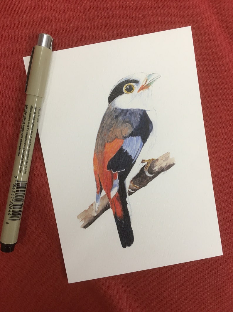 Set of 5 Watercolor Bird Postcards Set 1 image 5