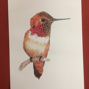 Set of 5 Watercolor Bird Postcards Set 1 image 2