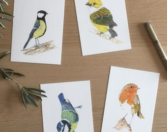 Set of 4 Watercolor Bird Postcards - Set 3