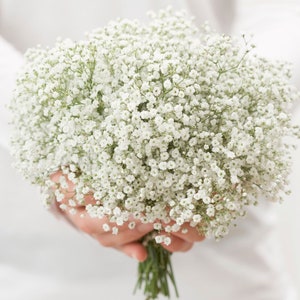 White bridal bouquet, White gypsophila paniculata bridal bouquet, bridesmaid bouquet. image 5