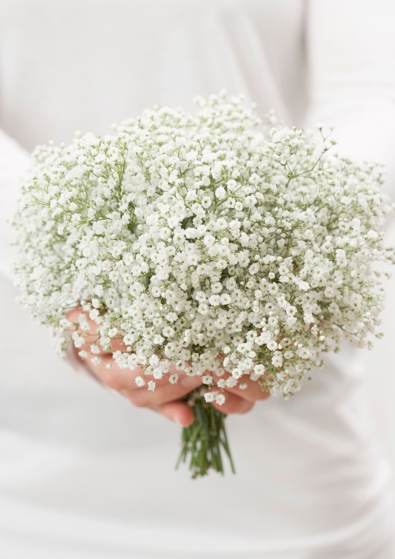 White bridal bouquet, White gypsophila paniculata bridal bouquet, bridesmaid bouquet. image 5