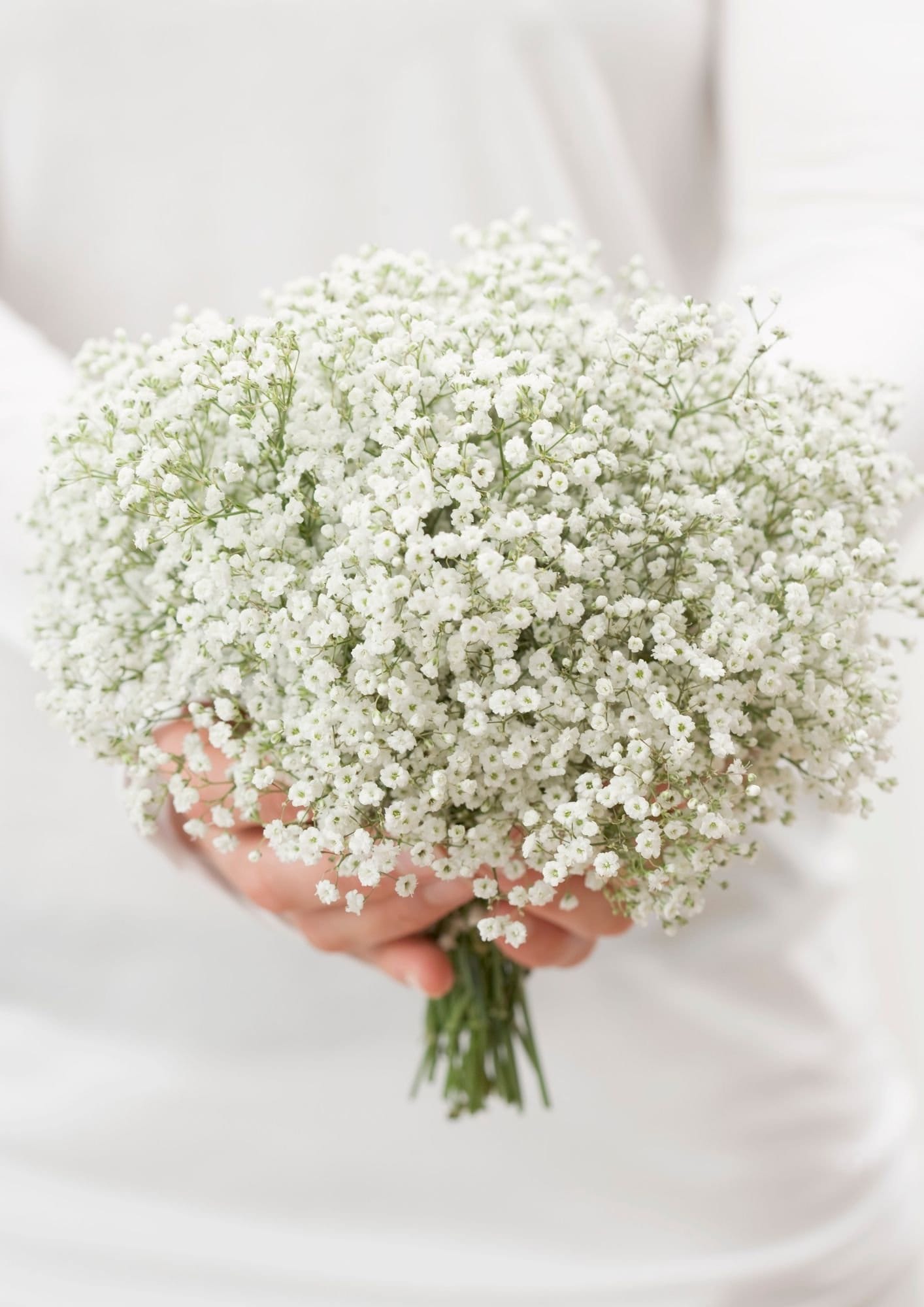 White Bridal Bouquet White Gypsophila Paniculata Bridal - Etsy