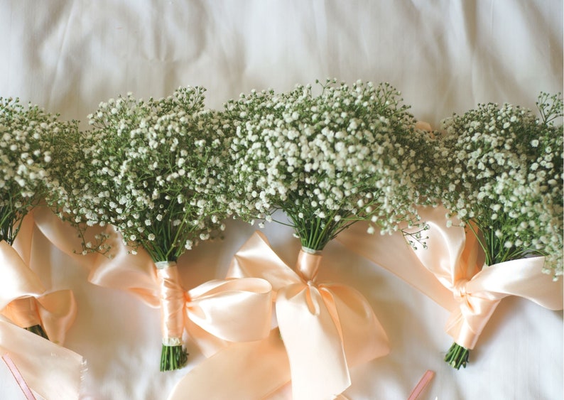 White bridal bouquet, White gypsophila paniculata bridal bouquet, bridesmaid bouquet. image 8