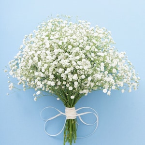 White bridal bouquet, White gypsophila paniculata bridal bouquet, bridesmaid bouquet. image 2