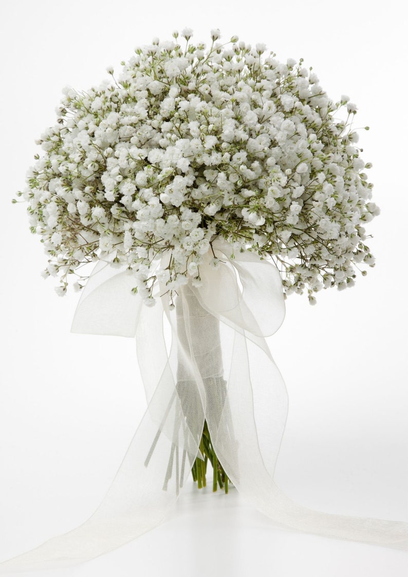 White bridal bouquet, White gypsophila paniculata bridal bouquet, bridesmaid bouquet. image 3