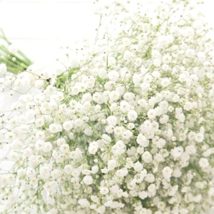 White bridal bouquet, White gypsophila paniculata bridal bouquet, bridesmaid bouquet. image 9