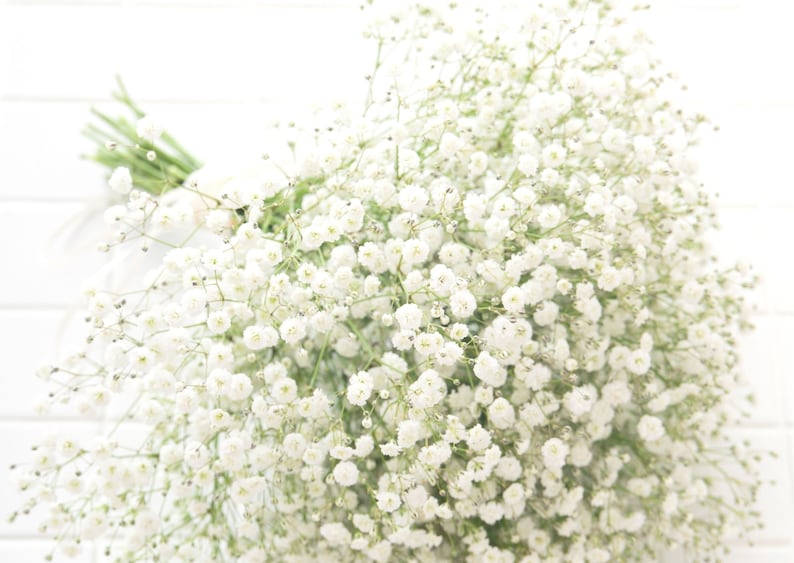 White bridal bouquet, White gypsophila paniculata bridal bouquet, bridesmaid bouquet. image 9