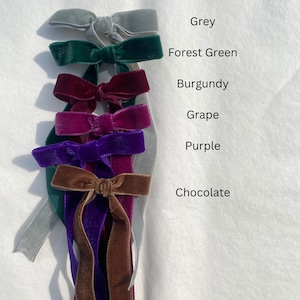 May include: A set of velvet ribbon bows in various colors, including grey, forest green, burgundy, grape, purple, and chocolate. The ribbons are tied into bows and arranged vertically.