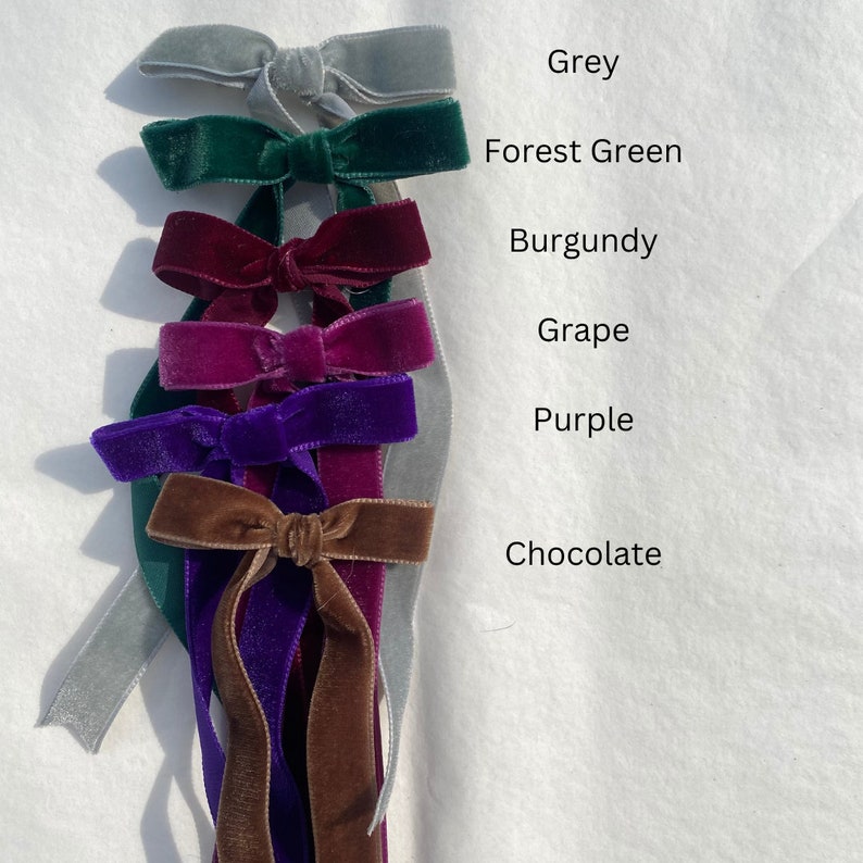 May include: A set of velvet ribbon bows in various colors, including grey, forest green, burgundy, grape, purple, and chocolate. The ribbons are tied into bows and arranged vertically.