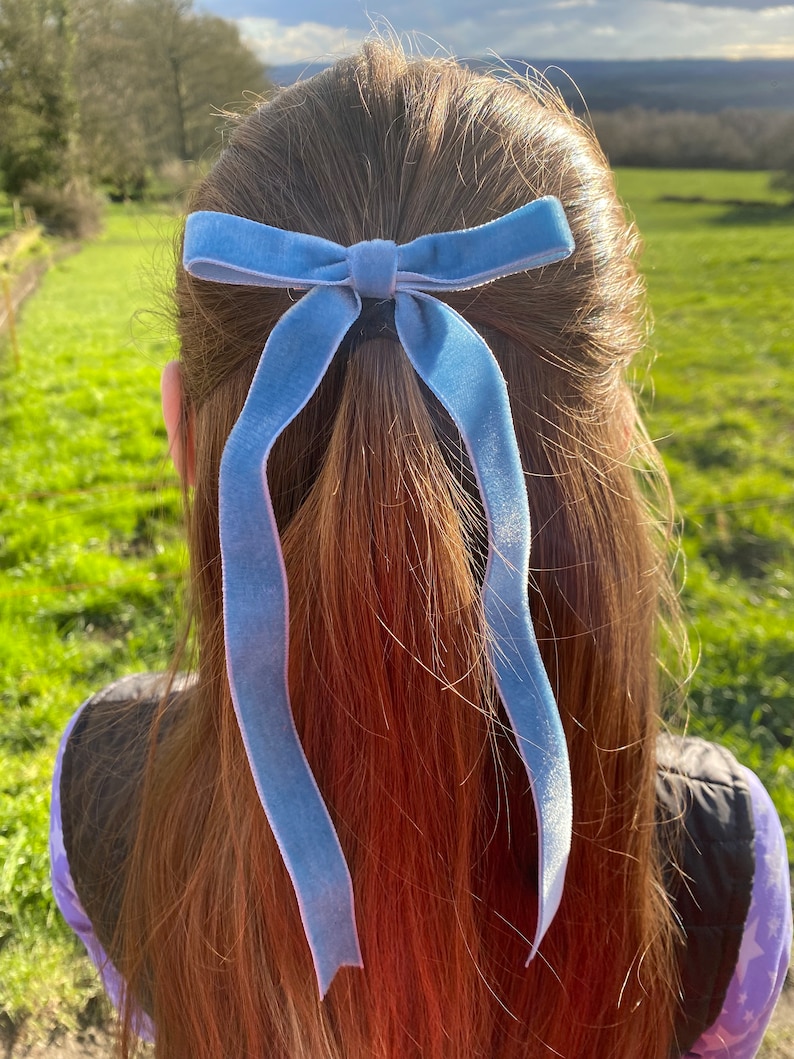 An example of the hair bows worn in a child's hair.