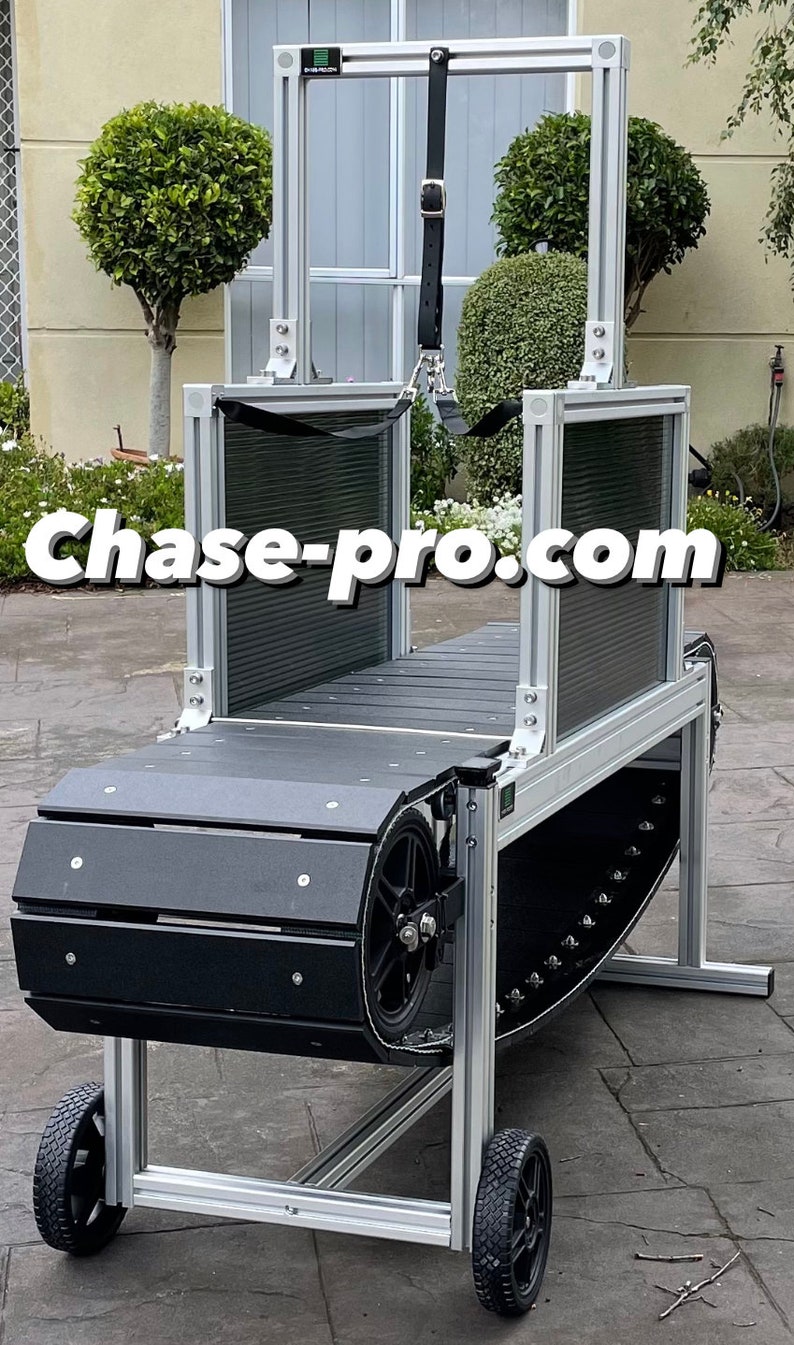 Slatmill dog Treadmill by Chase Pro Etsy