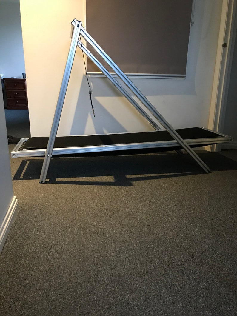 Carpet Mill dog Treadmill by Chase Pro Etsy