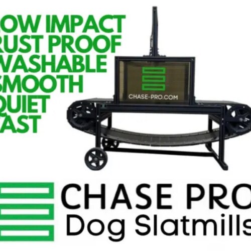 Firepaw Phoenix Dog Treadmill Slatmill Etsy Canada