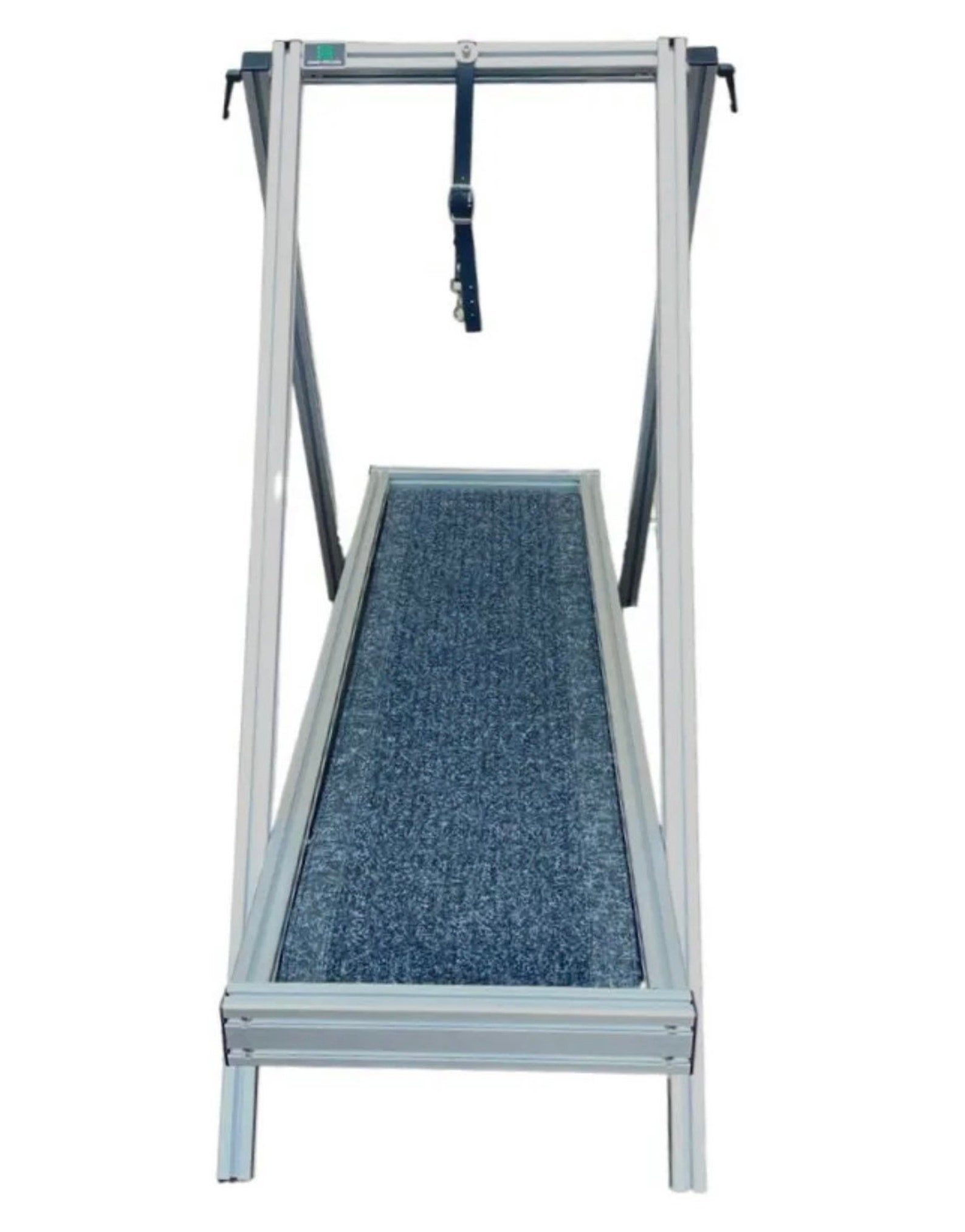 Carpet Mill dog Treadmill by Chase Pro Etsy