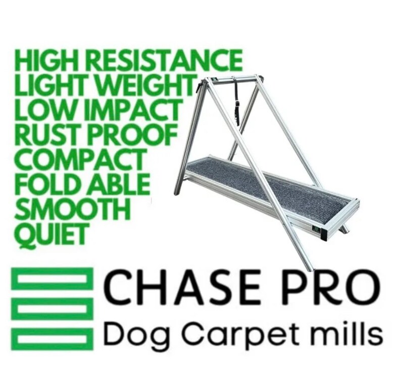 Carpet Mill dog Treadmill by Chase Pro Etsy