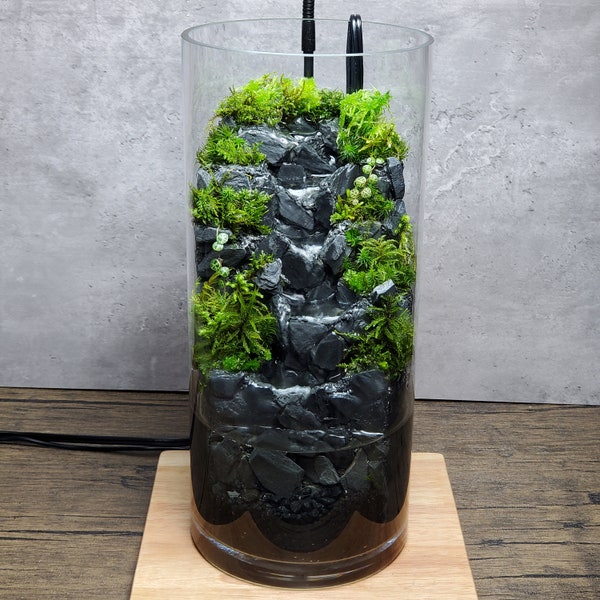 Live Moss Waterfall Terrarium (13" Tall, 6" Wide)