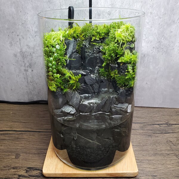 Waterfall Terrarium Etsy