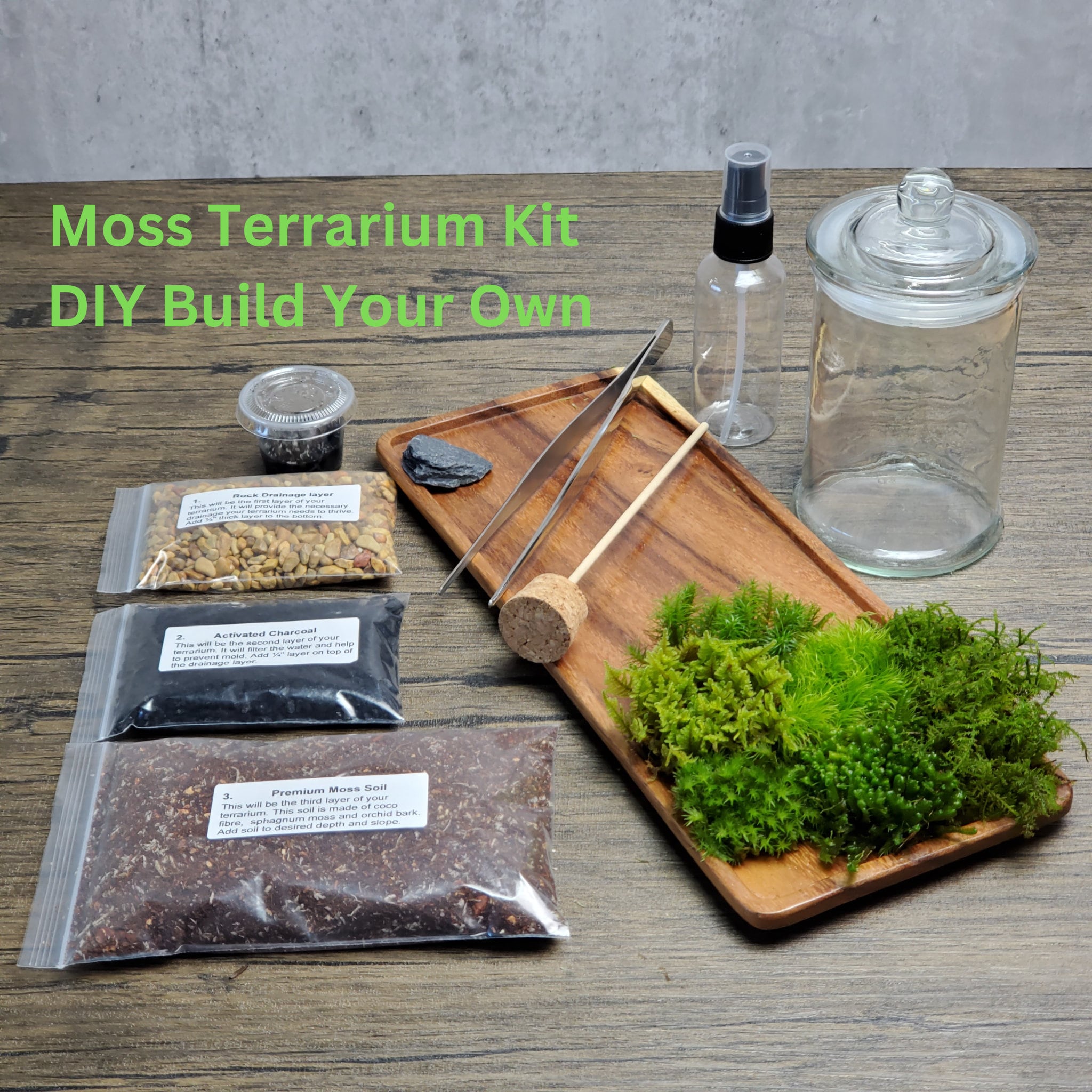 Live Sheet Moss for Terrariums, Vivariums, Moss Gardens 