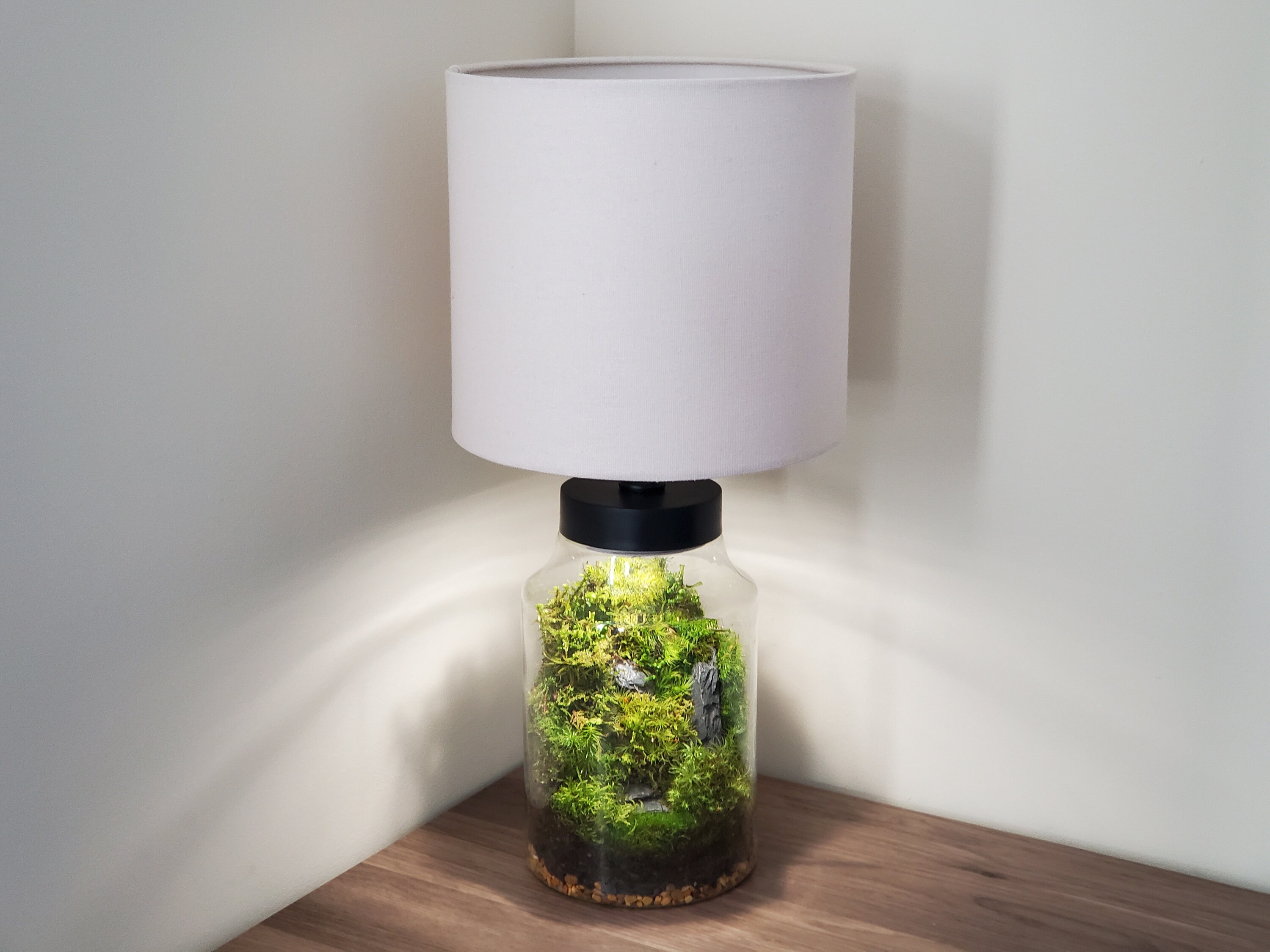 Rustic Terrarium Table Lamp Rishstudio ubicaciondepersonas.cdmx.gob.mx