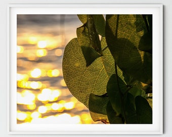 Ocean wall art, ocean at golden hour, sea print, ocean sunset, nautical wall art, Photography home decor, beach wall art, coastal poster