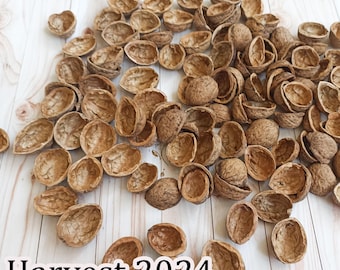 Walnut Shell Halves for Crafts and Decoration Nature Decoration at Home and Office Christmas Decoration Bio Nut Supplies Ornaments for Tree